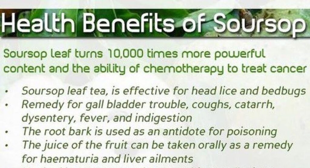 health benefits of soursop