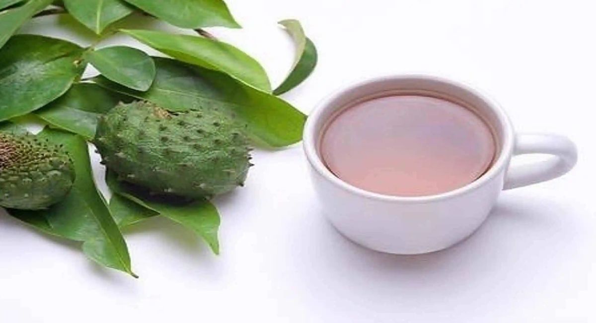Soursop Tea