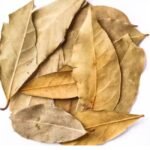 10 Powerful Health Benefits of Dried Soursop Leaves You Should Know