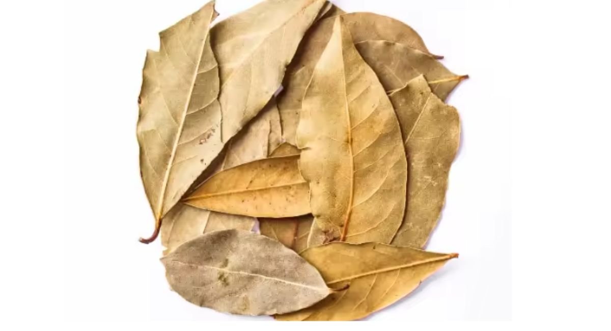 10 Powerful Health Benefits of Dried Soursop Leaves You Should Know