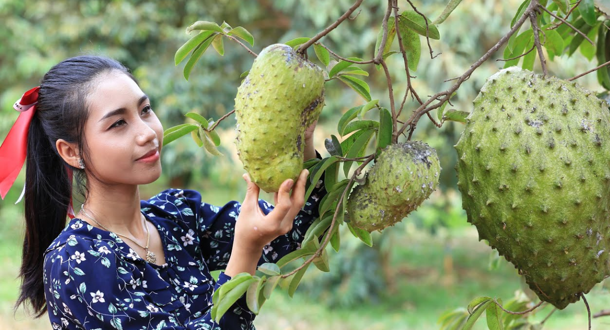 Soursop Fruit Near Me: A Local Guide