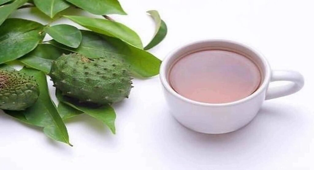 Soursop Tea: The Natural Brew That Boosts Your Health