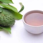 Soursop Tea: The Natural Brew That Boosts Your Health